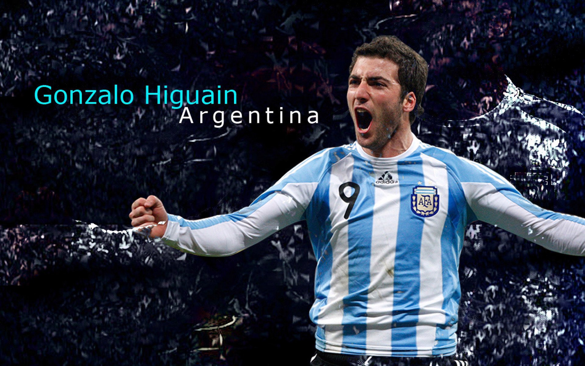 基层裁判培训体系标准未统一