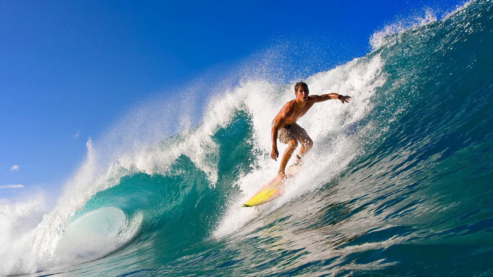 新西兰全黑队球员间默契配合，极具战术执行力，新西兰的球队