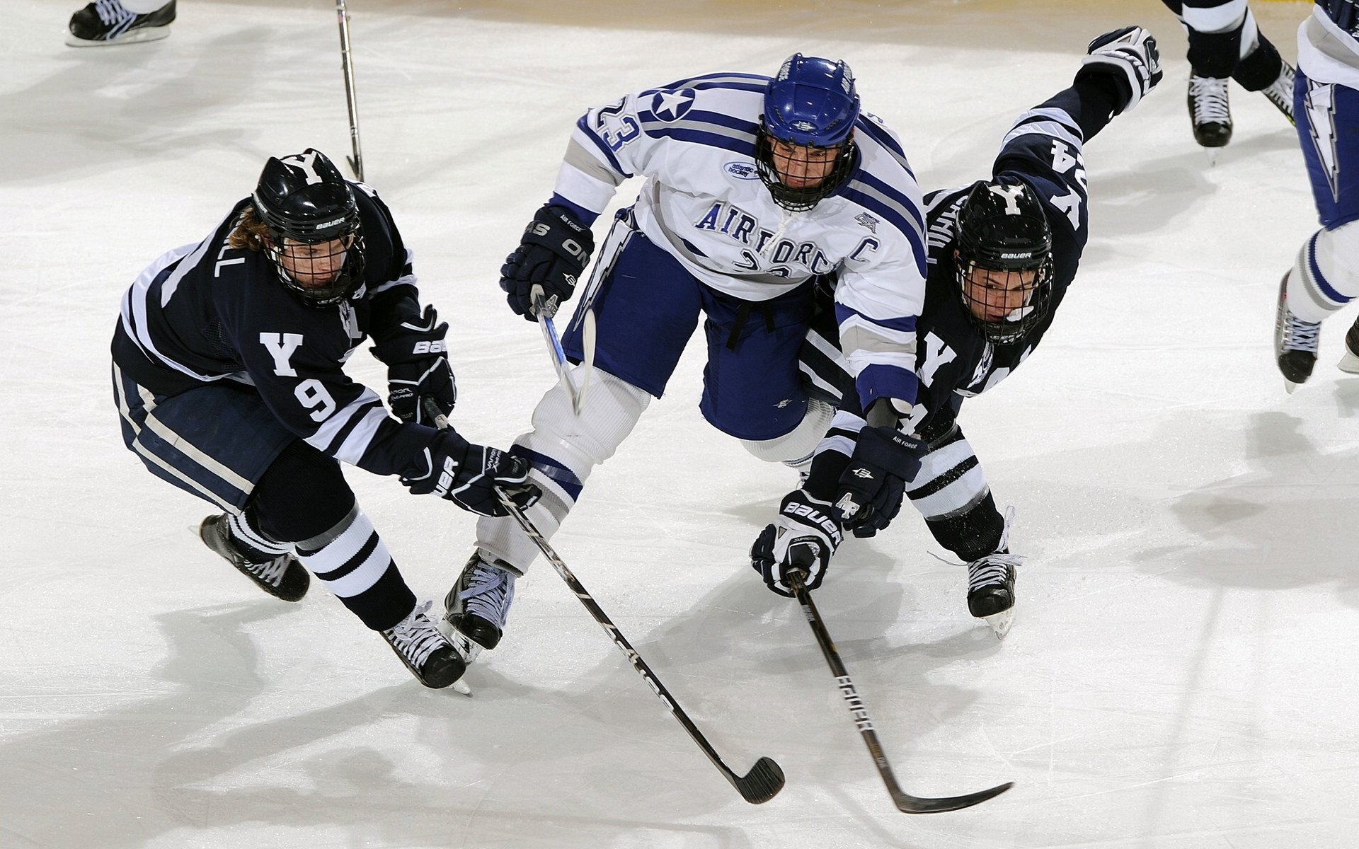 全国青少年“篮球+互联网”创新平台正式上线,开启数字青训新空间