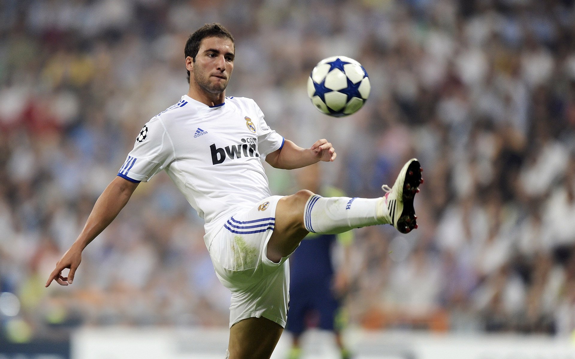 极光探险跑：追随极光的运动盛宴，极光寻宝